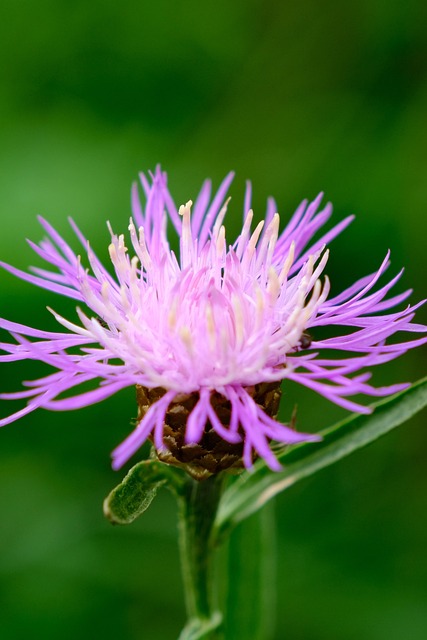 Safety Monitoring and Indications for Medical Consultation