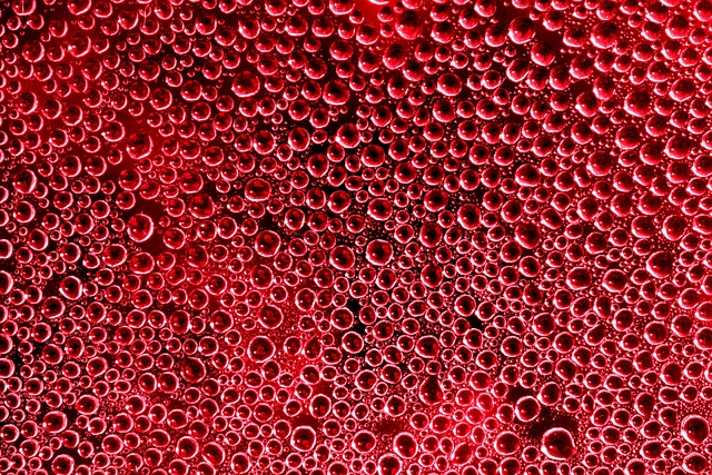 Risks, Contraindications, and At-Risk Populations