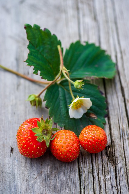 Introduction to Cellular Cleansing and Nutritional Smoothies