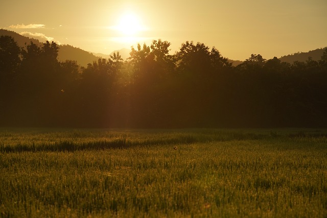 Safety Considerations and When to Consult a Healthcare Professional