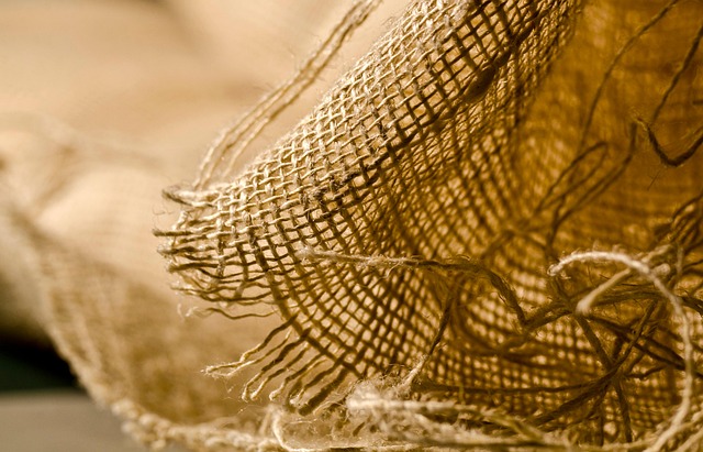 Evidence-Based Mechanisms of Fiber on Satiety