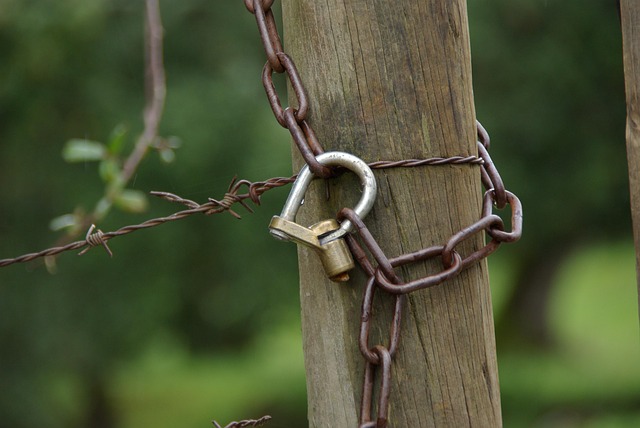 Mechanisms of Action and Evidence from Clinical Studies