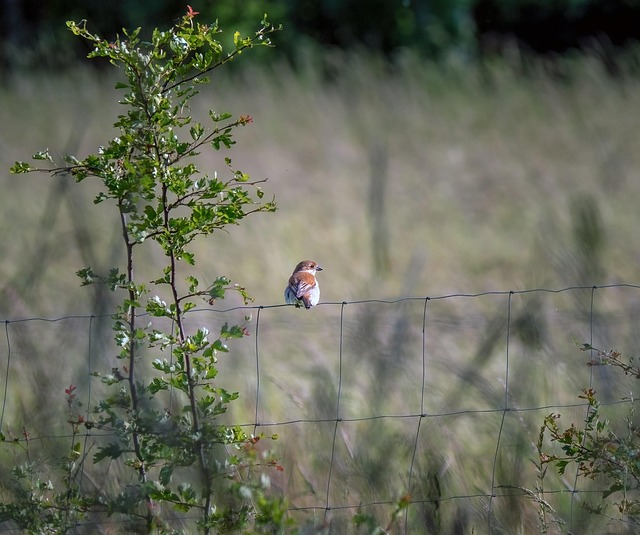 Safety Considerations and Indications for Medical Consultation