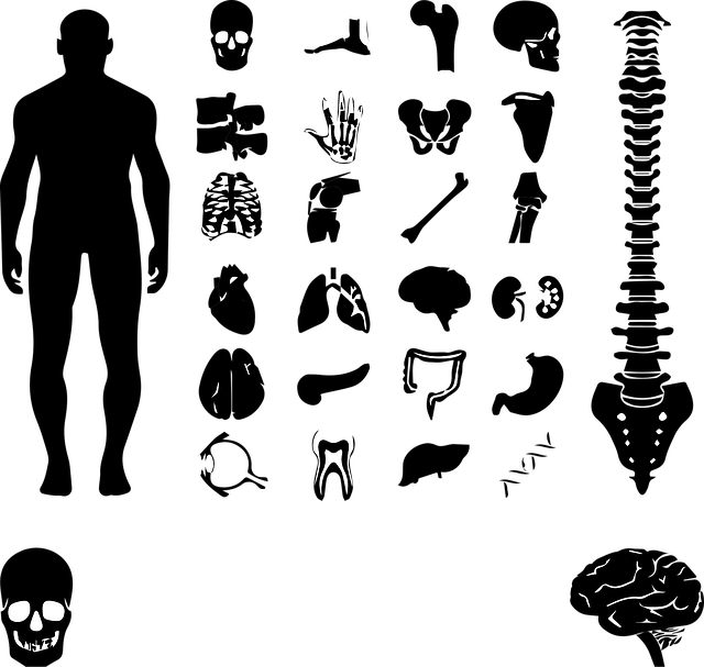 Safety Considerations and When to Consult a Healthcare Professional