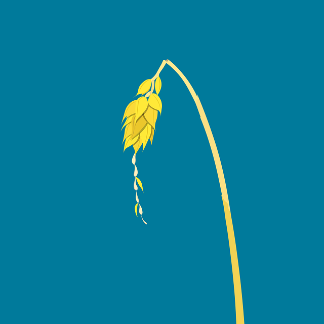 Scientific Evidence and Proposed Mechanisms for Hunger Control