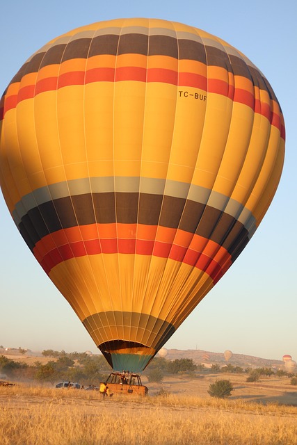 Risks, Contraindications, and Population-Specific Cautions