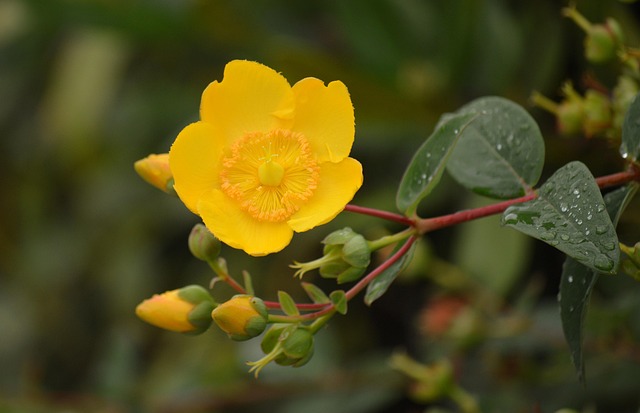 Safety Considerations and When to Consult a Doctor