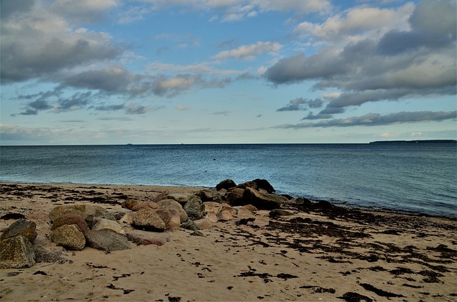 Introduction to Berberine and the 7-Day Protocol