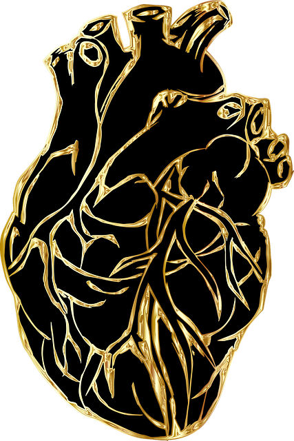 The Foundation of Cardiovascular Health Through Exercise