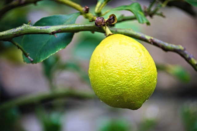 Practical and Balanced Takeaways for Hydration and Energy