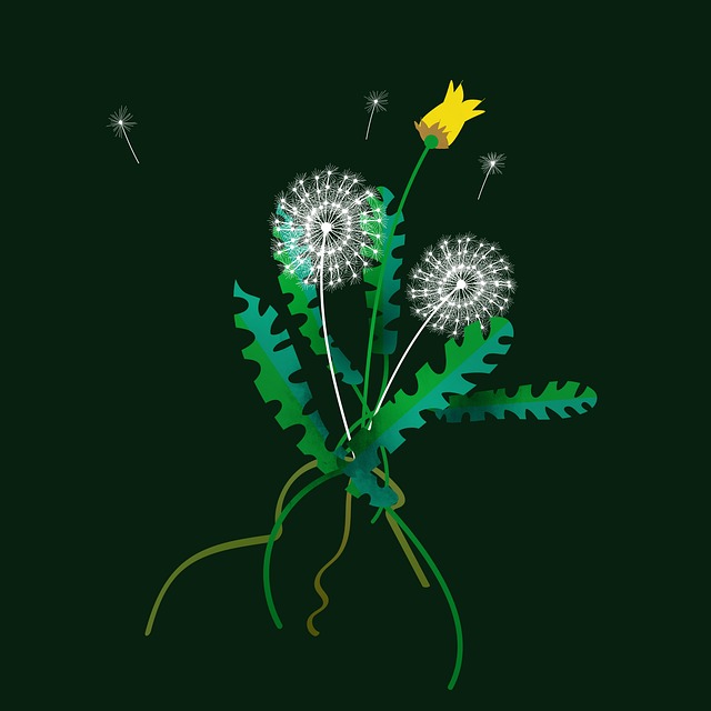 Practical Takeaways: Balanced Recommendations for Use