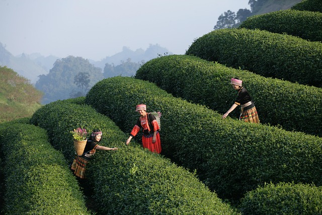 Safety Monitoring and Indications for Medical Consultation