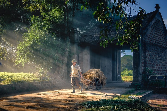 Safety Considerations and When to Consult a Healthcare Provider