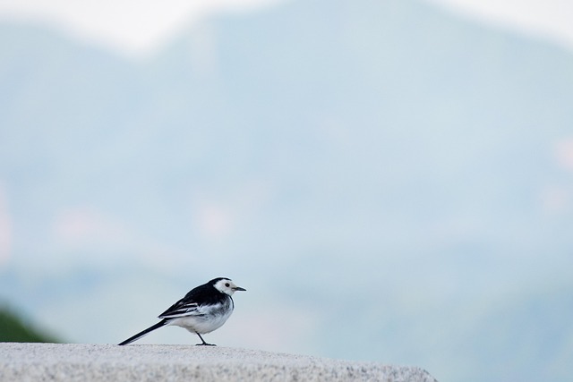 Practical Evidence-Based Takeaways for Hunger Management