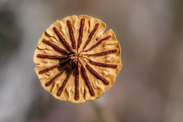 Safety Considerations: When to Consult a Healthcare Provider