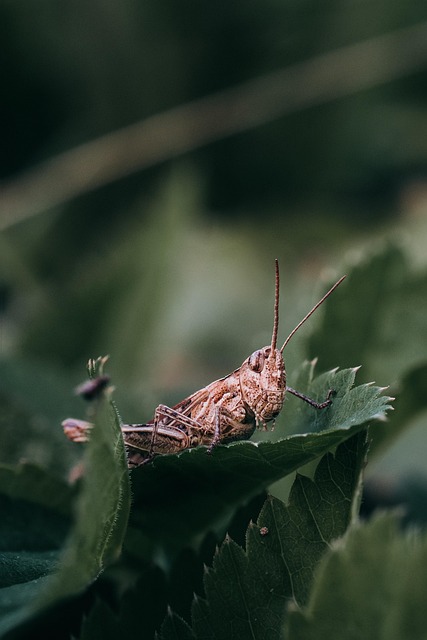 Safety First: When to Consult a Healthcare Professional