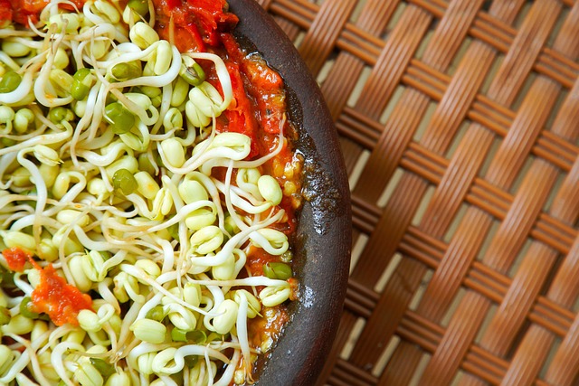 Introduction to Whole-Food Smoothies for Satiety