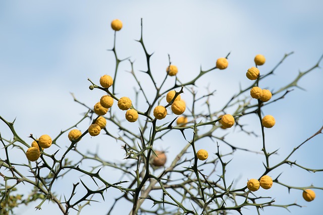 Safety Monitoring and Indications for Medical Consultation