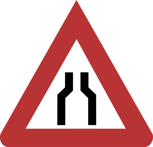 Potential Health Risks and Contraindications