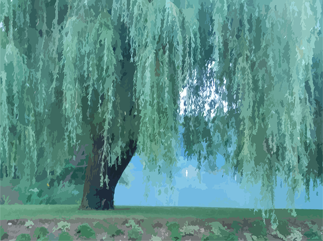 7-Day Action Plan: Daily Habits to Reduce Cravings