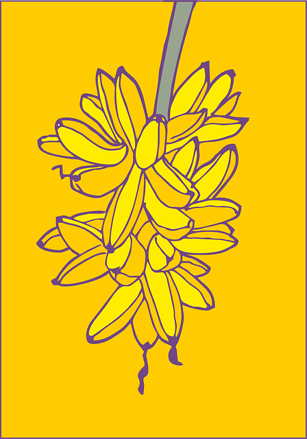 Introduction to Ketogenic Diet Adjustments