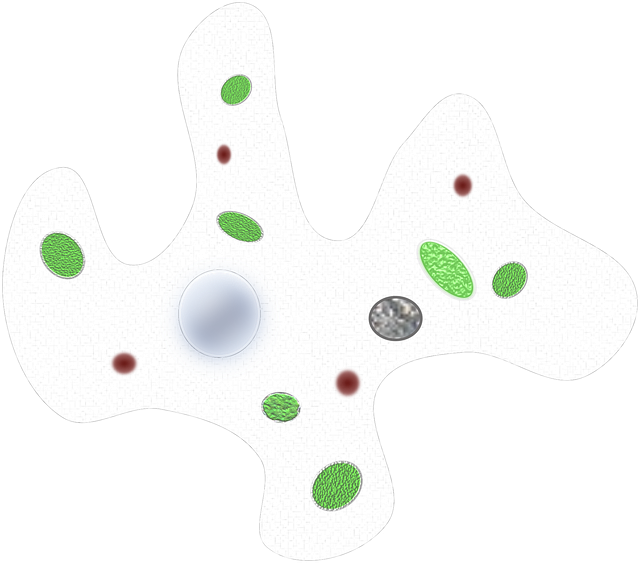 Safety Monitoring and When to Consult a Healthcare Professional