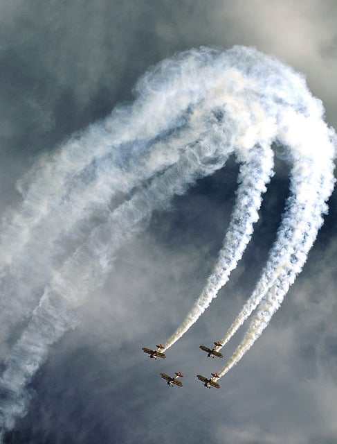 Evidence and Mechanistic Insights from Research