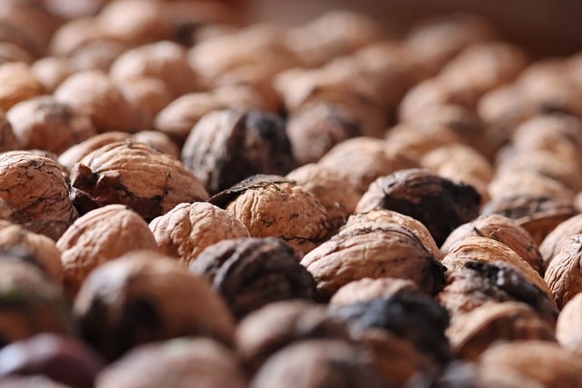 Introduction to the Mediterranean Diet and Appetite Modulation